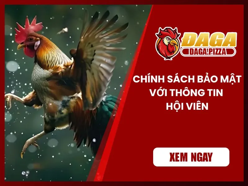 Chính sách bảo mật Đá gà Pizza